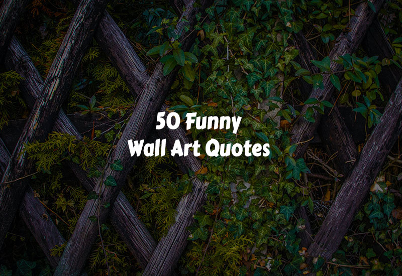 Funny Wall Art Quotes