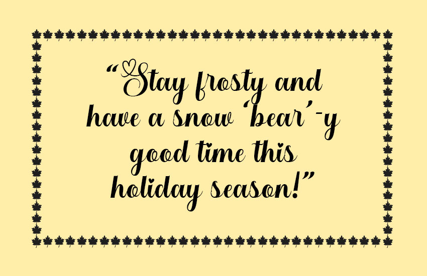 Funny Holiday Card Quotes