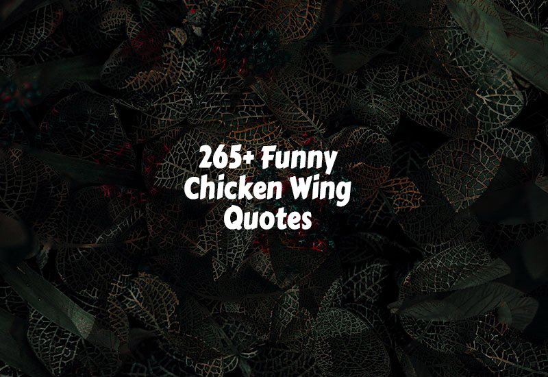 Funny Chicken Wing Quotes