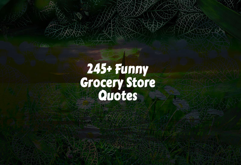 Funny Grocery Store Quotes