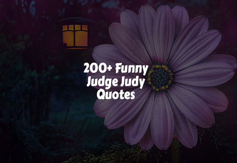 Funny Judge Judy Quotes