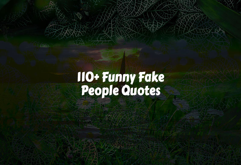 Funny Fake People Quotes