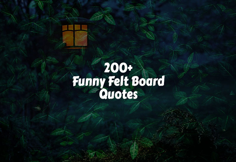 Funny Felt Board Quotes