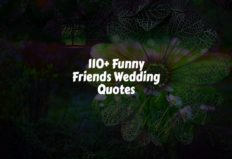 Funny Friends Wedding Quotes