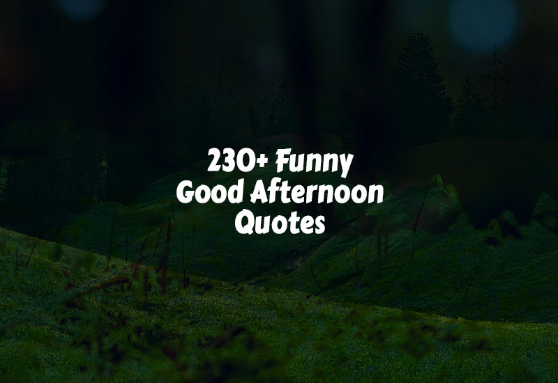 Funny Good Afternoon Quotes