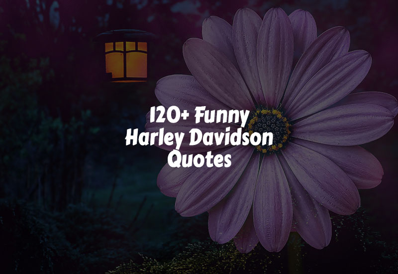 Funny Harley Davidson Quotes