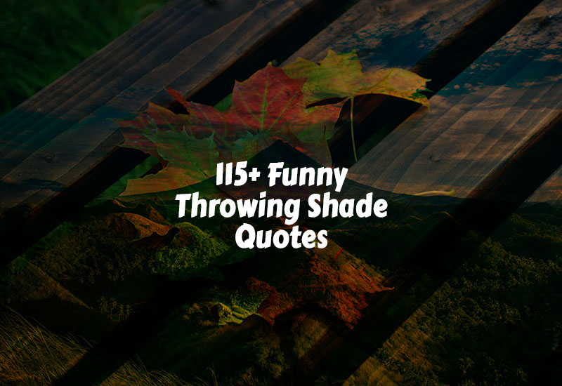 Funny Throwing Shade Quotes