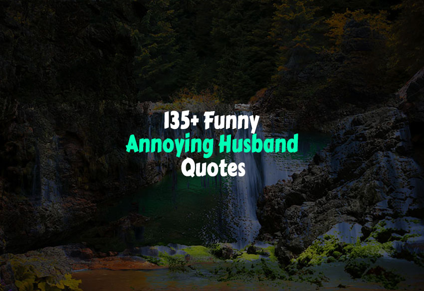 Funny Annoying Husband Quotes