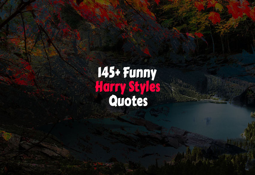 Funny Harry Styles Quotes