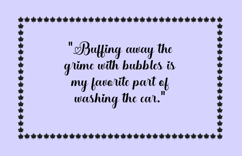 Funny Car Washing Quotes