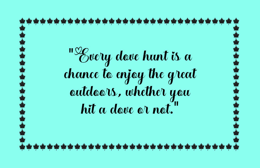 Funny Dove Hunting Quotes