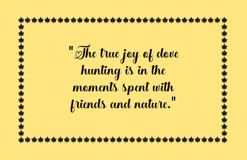 Funny Dove Hunting Quotes