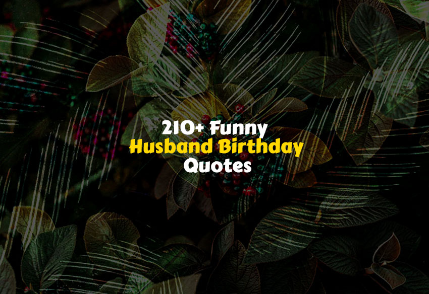 Funny Husband Birthday Quotes