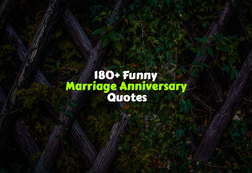 Funny Marriage Anniversary Quotes