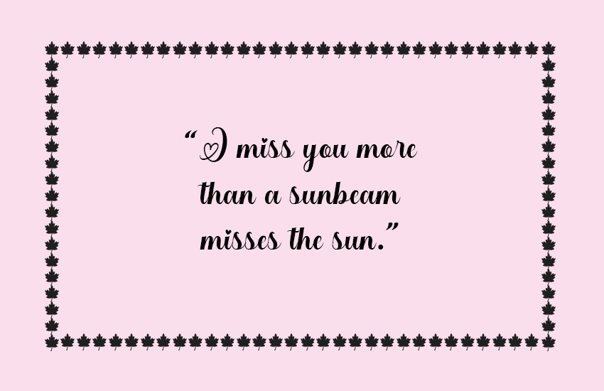 Funny Miss You Quotes