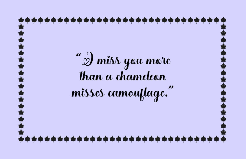 Funny Miss You Quotes