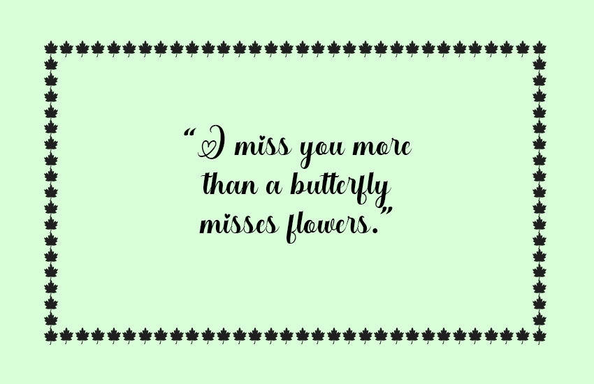 Funny Miss You Quotes