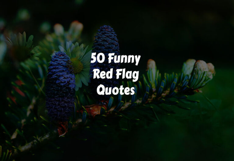 Funny Red Flag Quotes