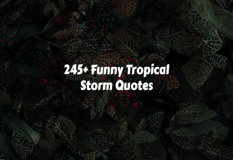 Funny Tropical Storm Quotes
