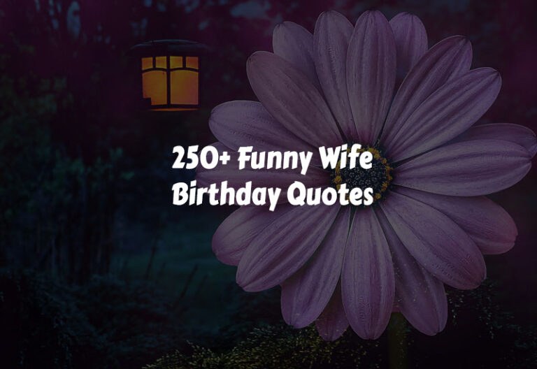 Funny Wife Birthday Quotes