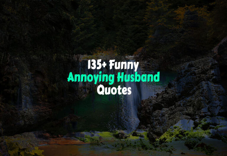 Funny Annoying Husband Quotes