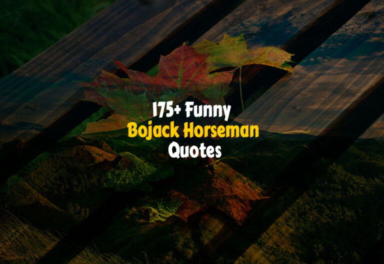 Funny Bojack Horseman Quotes