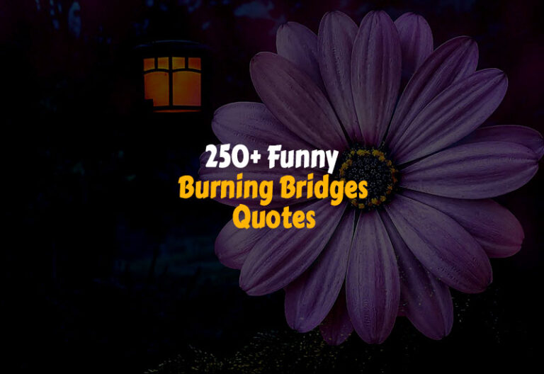 Funny Burning Bridges Quotes