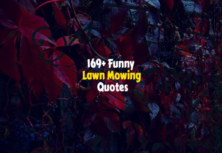 Funny Lawn Mowing Quotes