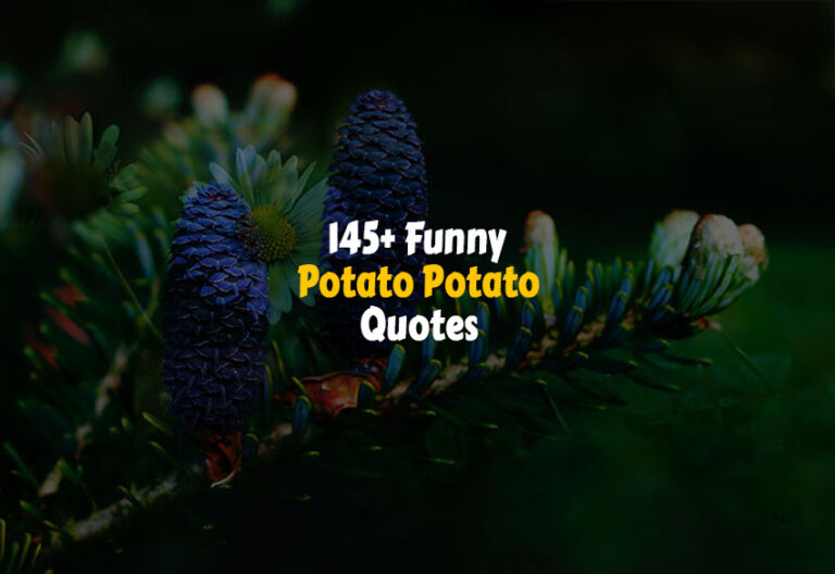 Funny Potato Potato Quotes