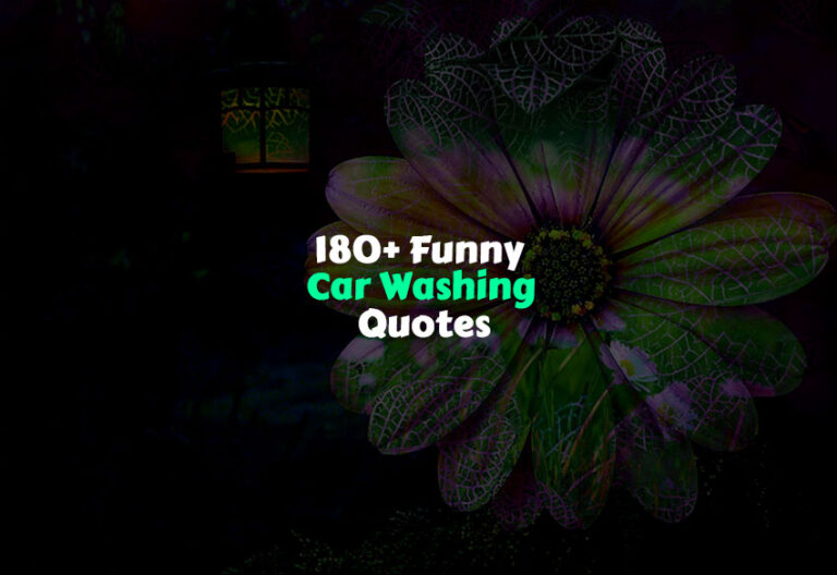 Funny Car Washing Quotes