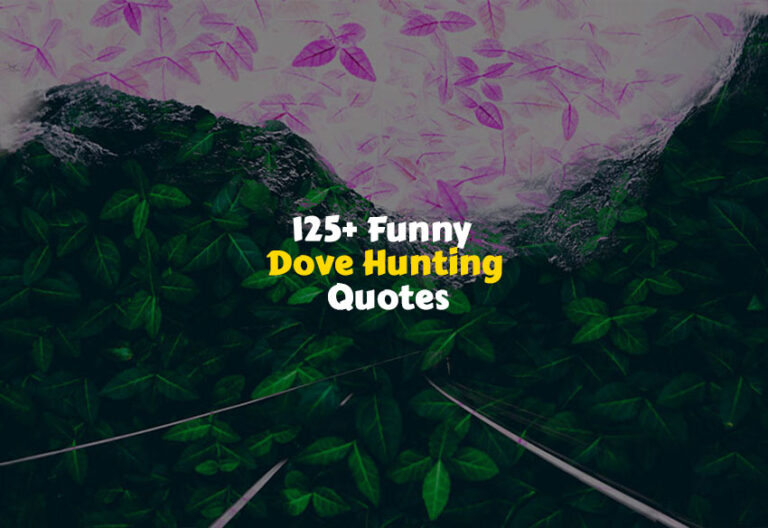 Funny Dove Hunting Quotes