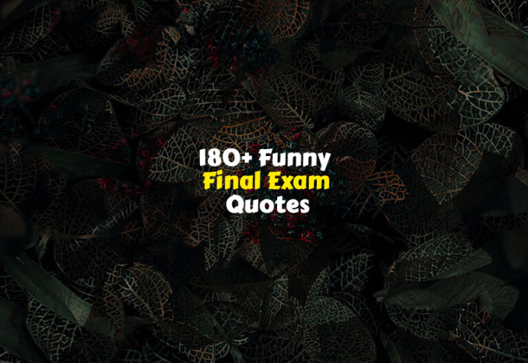 Funny Final Exam Quotes