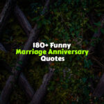 Funny Marriage Anniversary Quotes