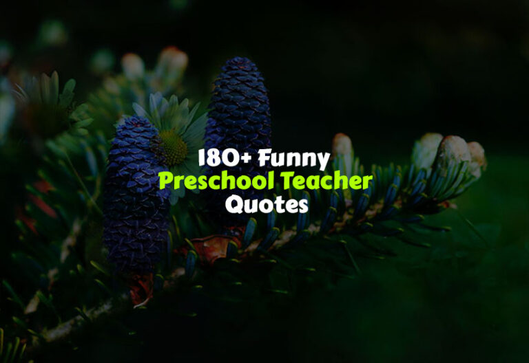 Funny Preschool Teacher Quotes