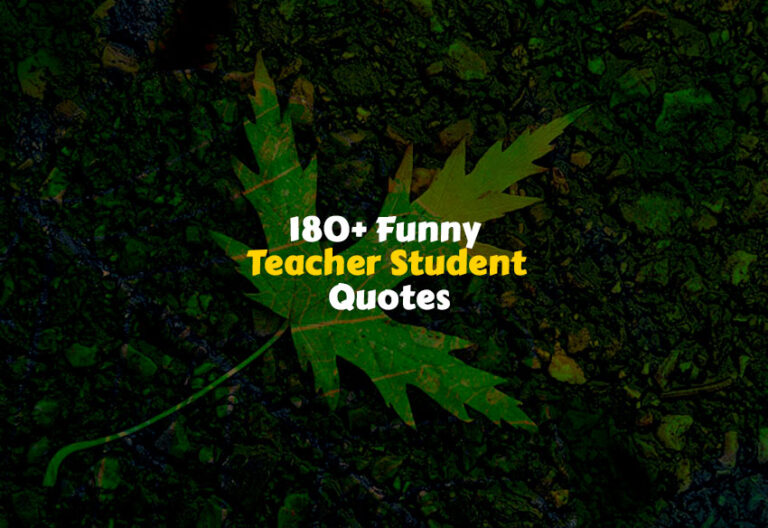 Funny Teacher Student Quotes