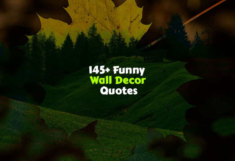 Funny Wall Decor Quotes